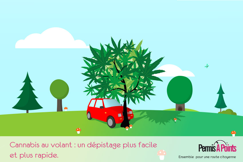 illustration voiture accidentée dans une arbre à feuilles de canabis