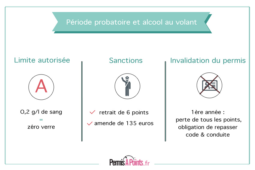 Permis probatoire et alcool au volant : des risques sont trop importants !