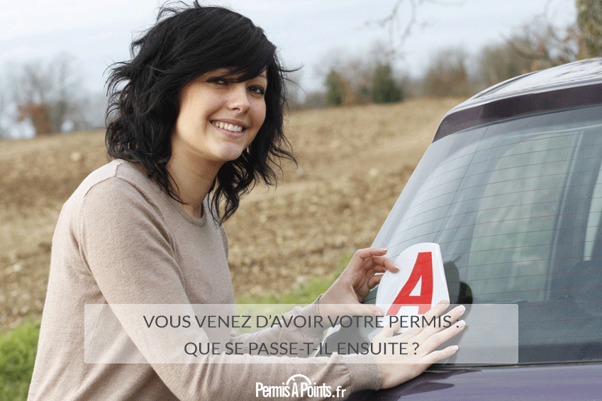 Vous venez d'avoir votre permis : que se passe-t-il ensuite ?