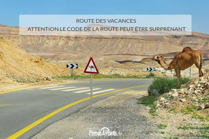 Route des vacances : attention le code de la route peut être surprenant