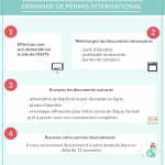 Permis de conduire international : les démarches